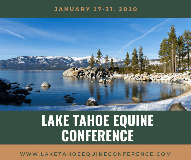 Lake Tahoe Vet Conference 2020