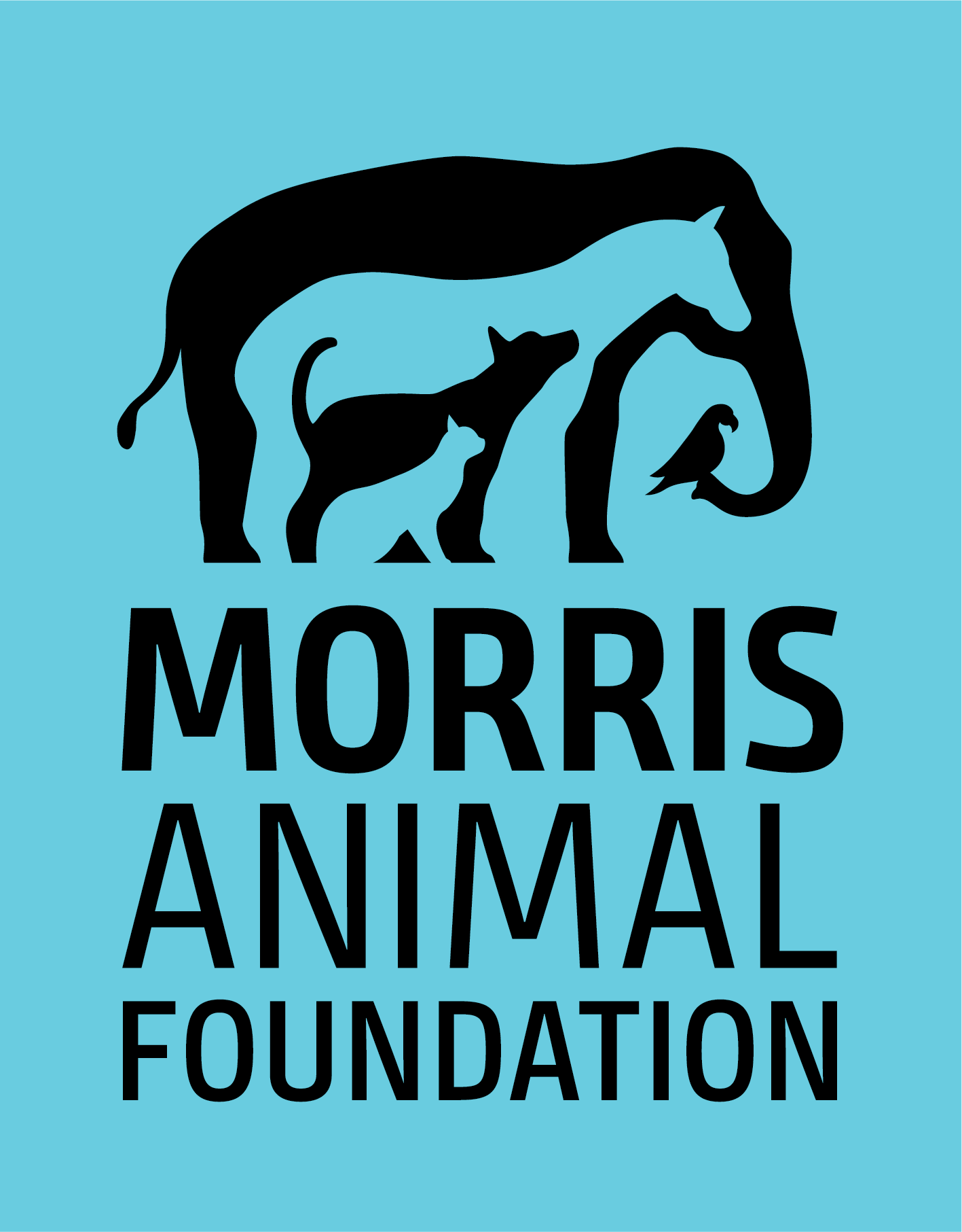 Morris Awards Nearly 1 Million in Equine Health Grants EquiManagement