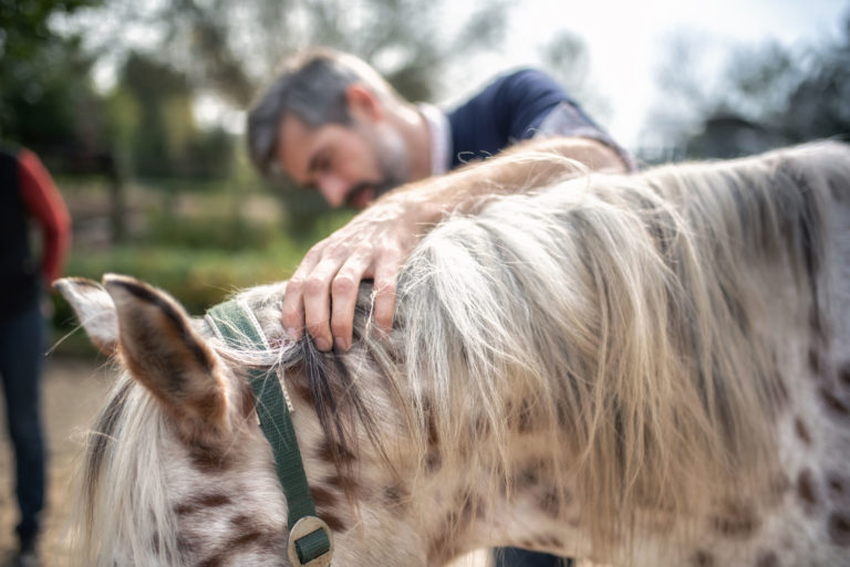 man looking at appaloosa horse neck