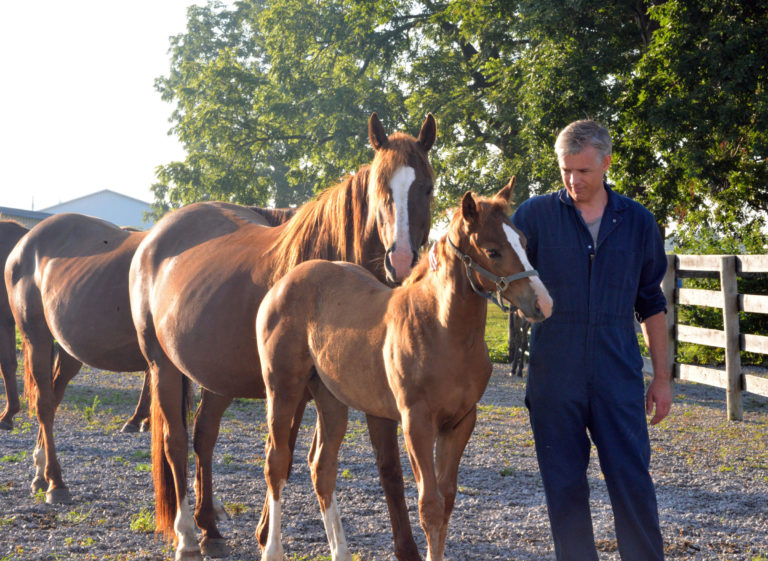 Martin Nielsen at UK Maine Chance Farm