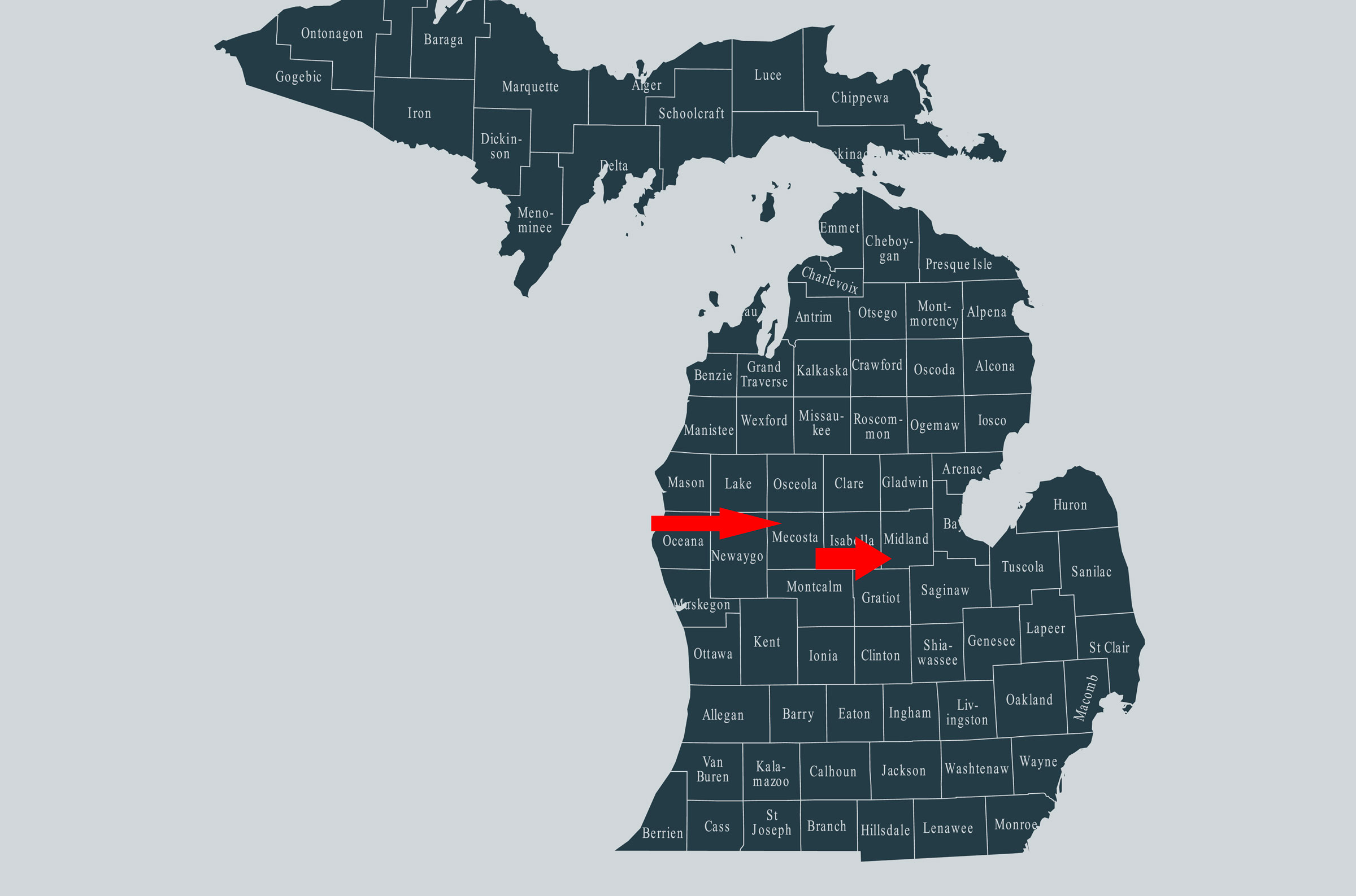 Michigan Mecosta and Midland Counties map