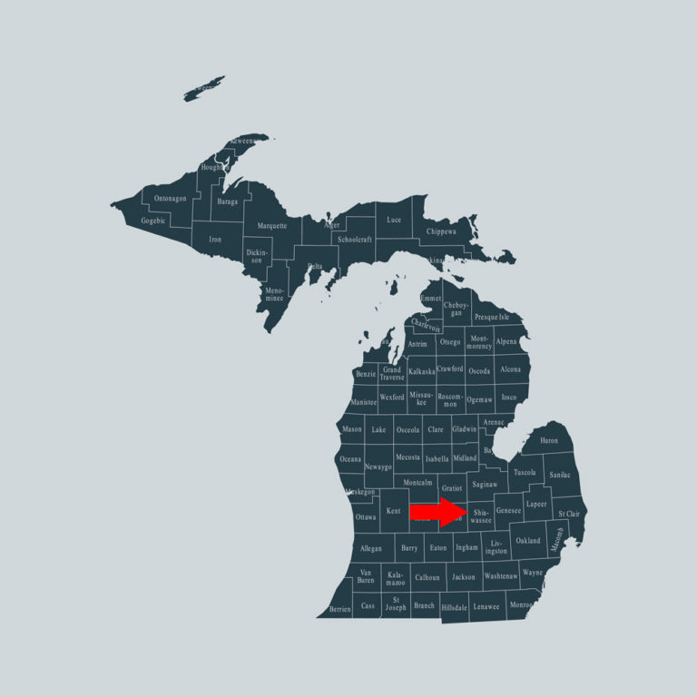 Shiawassee County Michigan map