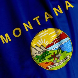 Montana Veterinary Program promo image