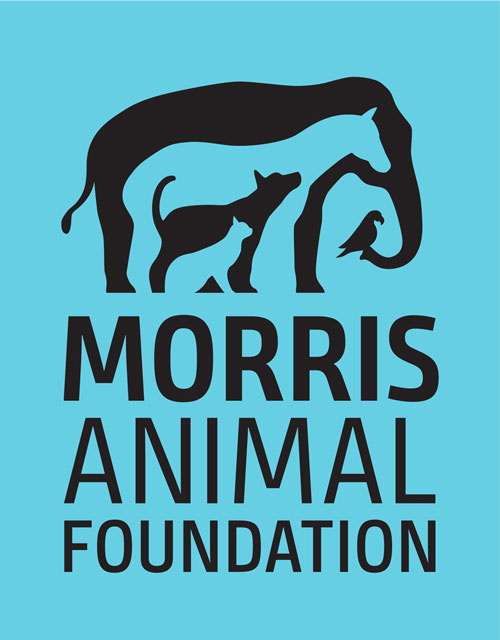 Morris-Animal-Foundation-logo-Vert-RGB_LB-500