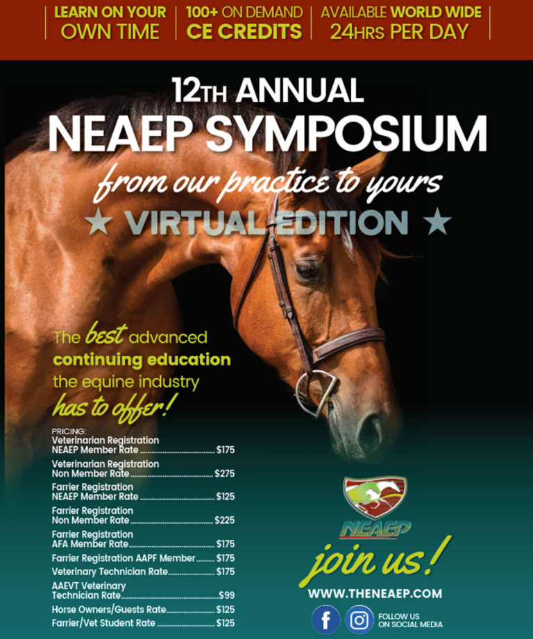 NEAEP-virtual-symposium