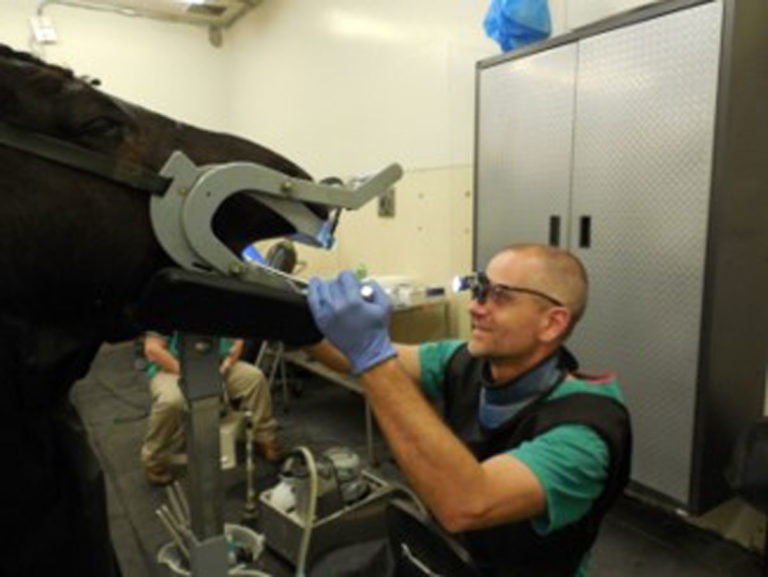Dr. Nicola Pusterla 1200