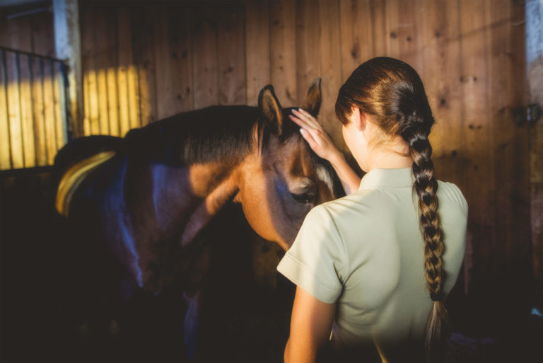 night barn woman horse