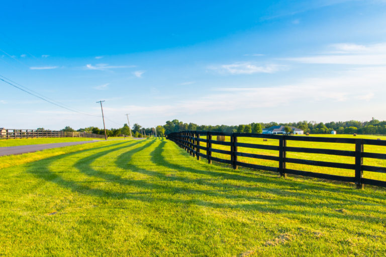pasture mowed wood plank fence neat