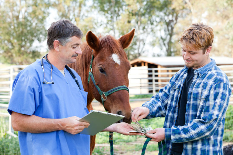 client paying vet horse