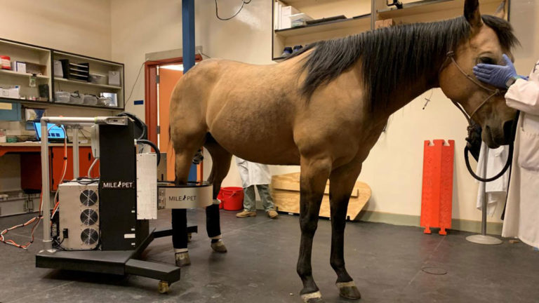 PET imaging UC Davis