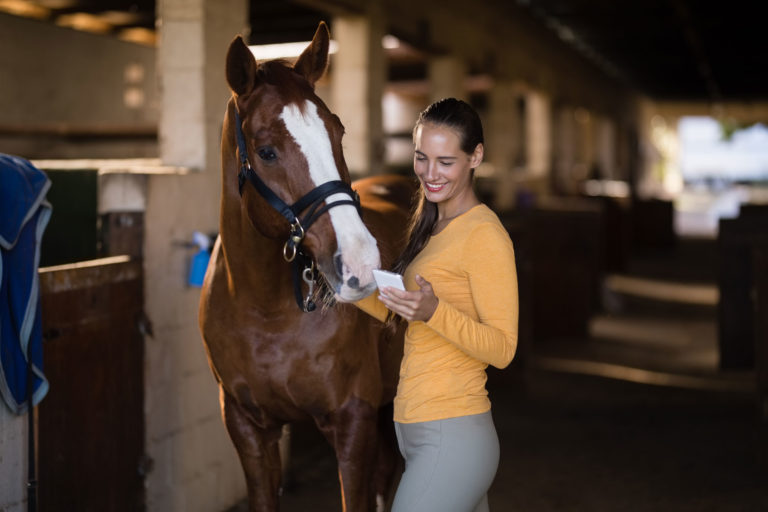phone woman horse stable