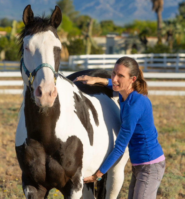 physical therapy horse woman