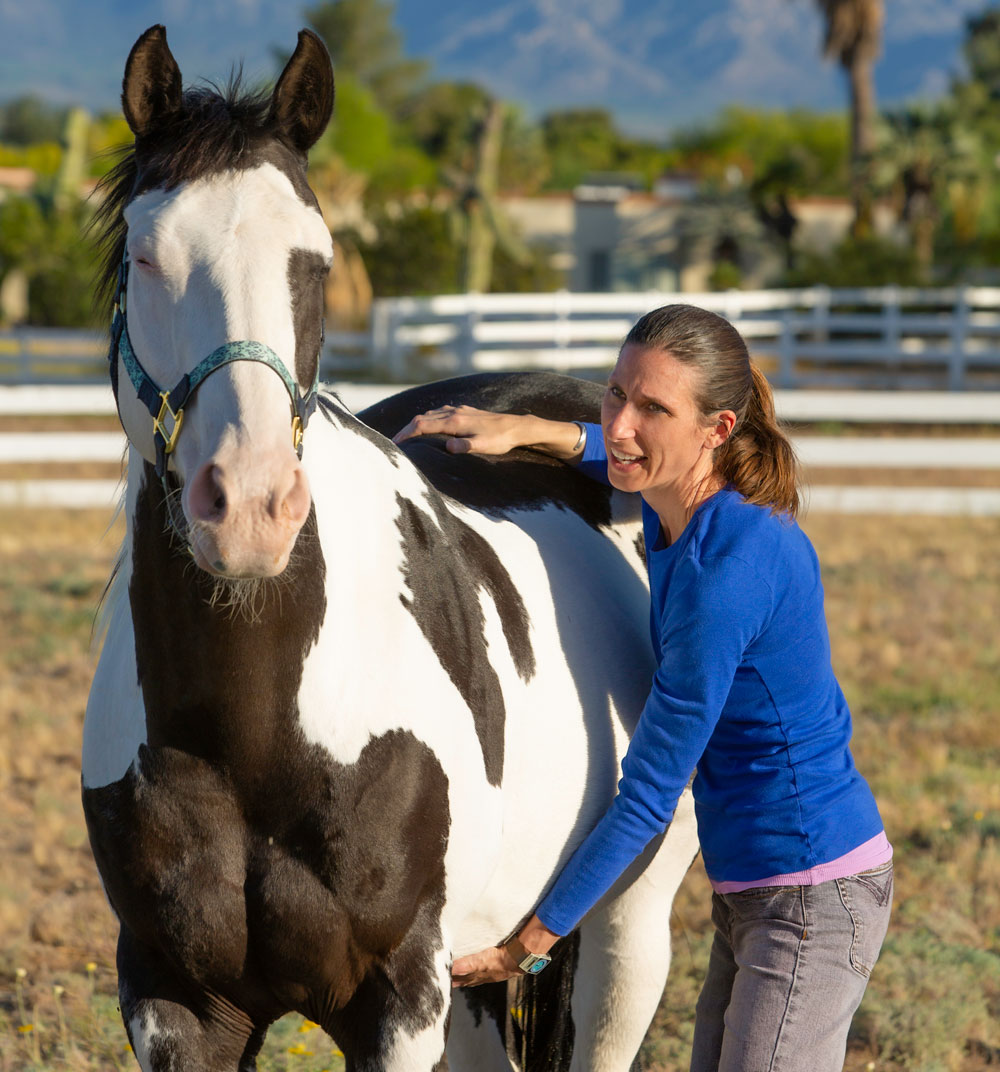 physical therapy horse woman