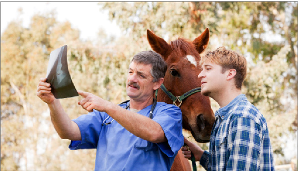 Procedures, Profit and Paying the Piper promo image