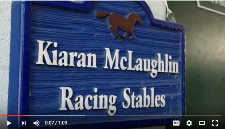 Purina Shares Insights on Derby Trainer Kiaran McLaughlin promo image
