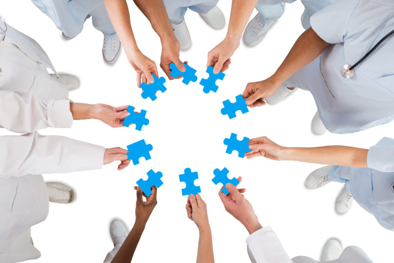 puzzle pieces circle vets