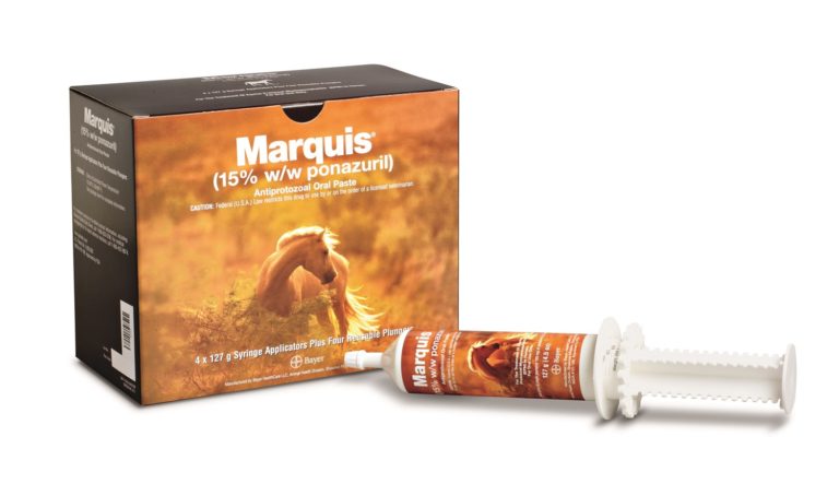 Q&A with Merial on Marquis and Legend Acquisition promo image