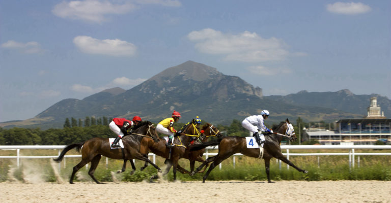 racehorses track