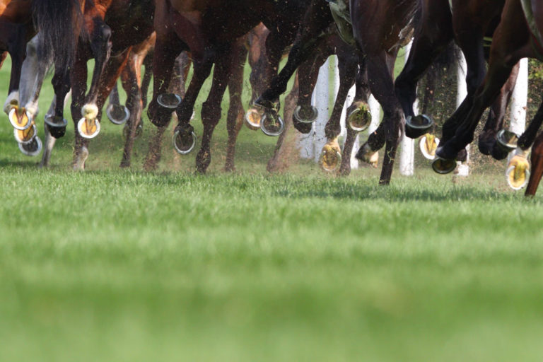 reachorse racing feet from rear
