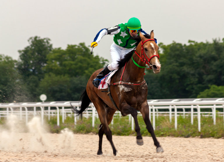racehorse-Thoroughbred-on-track-Stock-494957334-2400