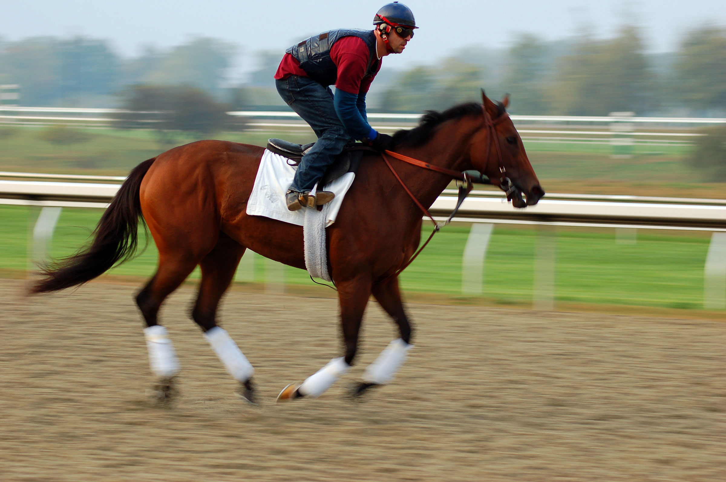 Бег лошади 5. Keeneland Racetrack. Как тренировать скаковую лошадь.