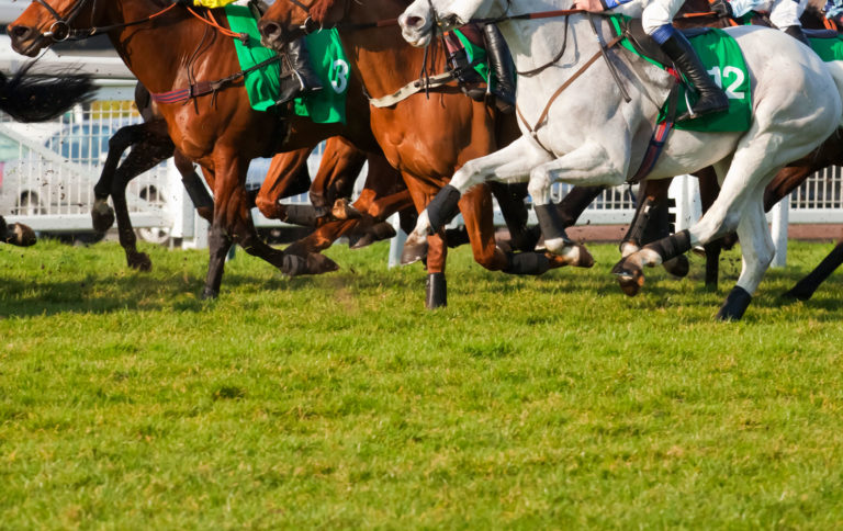 racehorses United Kingdom