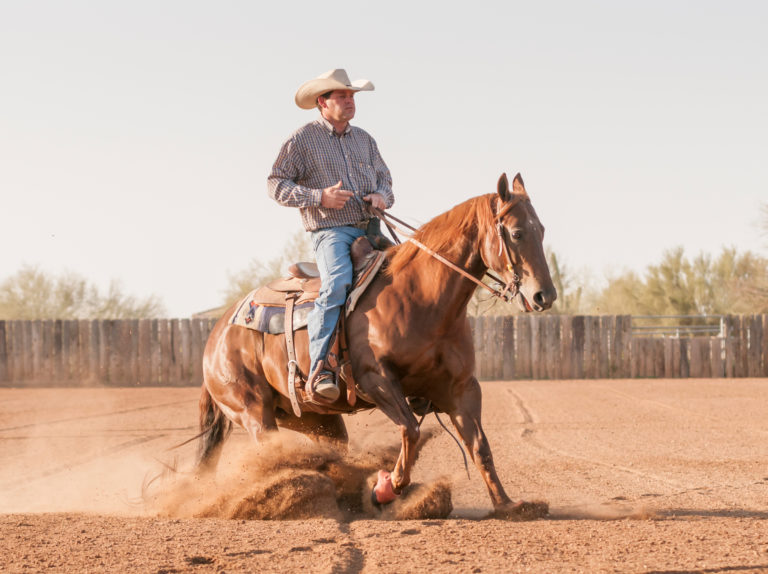 reining horse