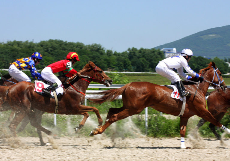 Research: Concurrent Vaccination Against Equine Influenza and EHV promo image