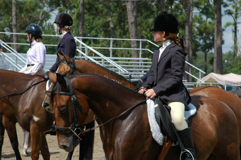 horse show lineup