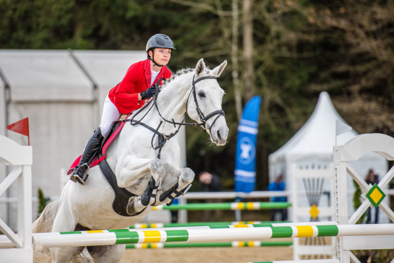 show jumper gray horse woman rider red jacket