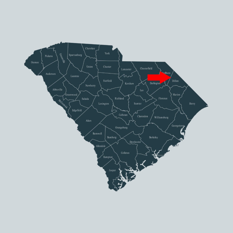 South Carolina Dillon County Map