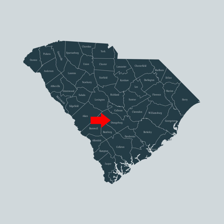 Orangeburg County South Carolina map