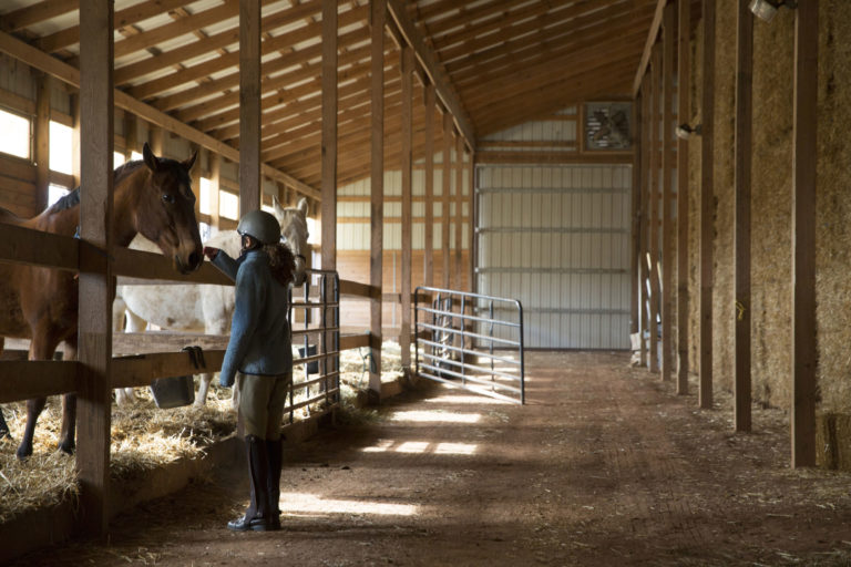 stable horses on straw rider aisleway