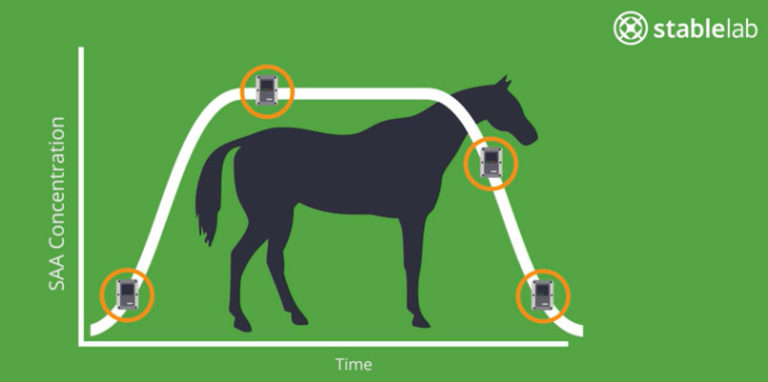 Stablelab