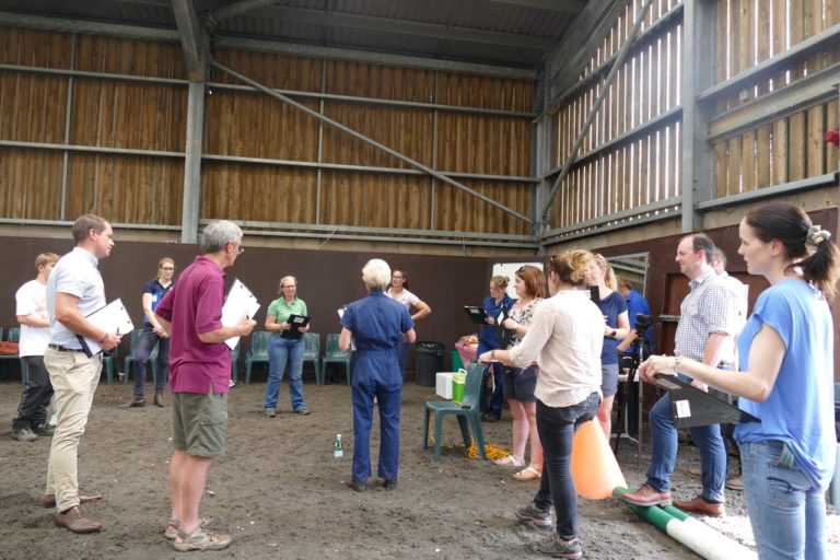 Sue Dyson Saddle Research Trust