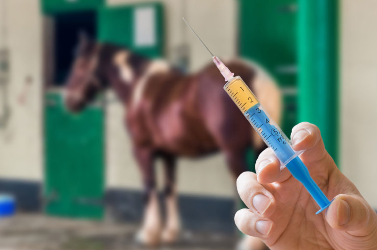 syringe horse background