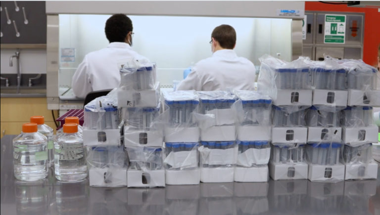 TAMU viral testing kits