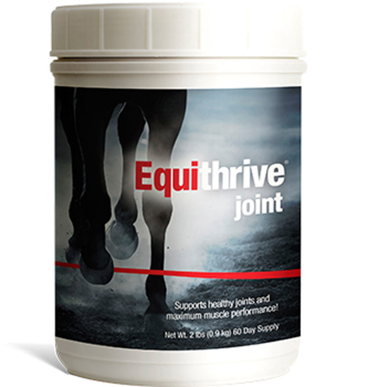 Texas A&M Clinical Trial Indicates Equithrive Joint is Effective Therapy for Equine Hock Lameness promo image