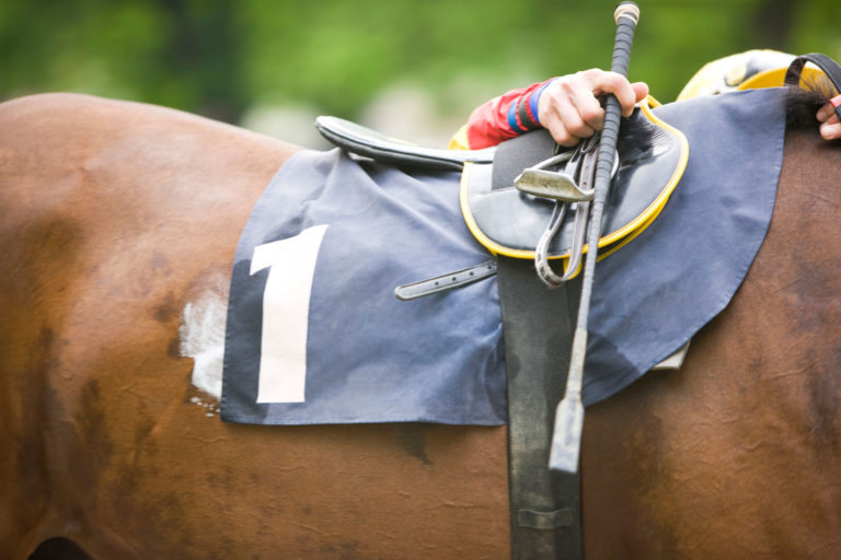 Thoroughbred racehorse crop