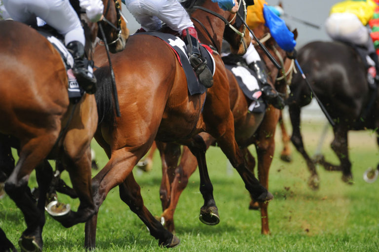 Thoroughbreds racing closeup legs
