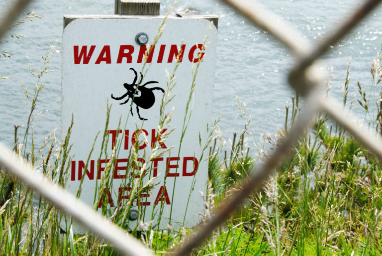 tick sign