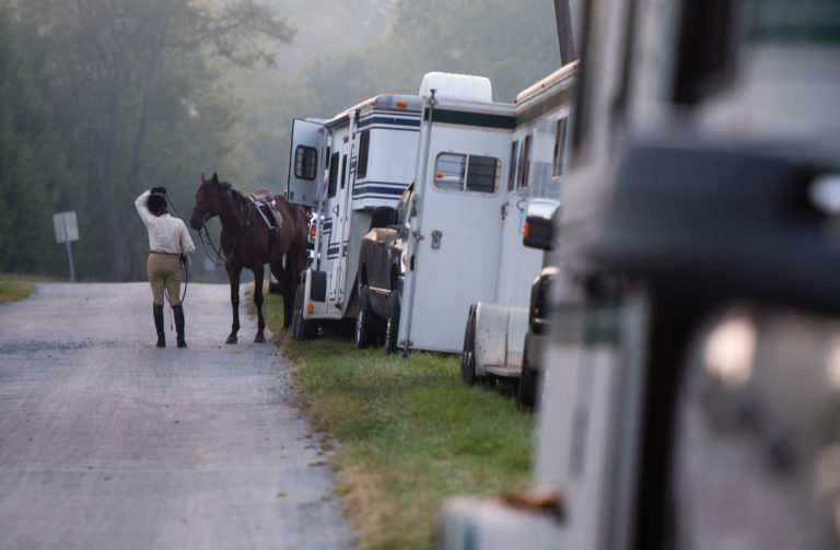 horse trailers parked along road