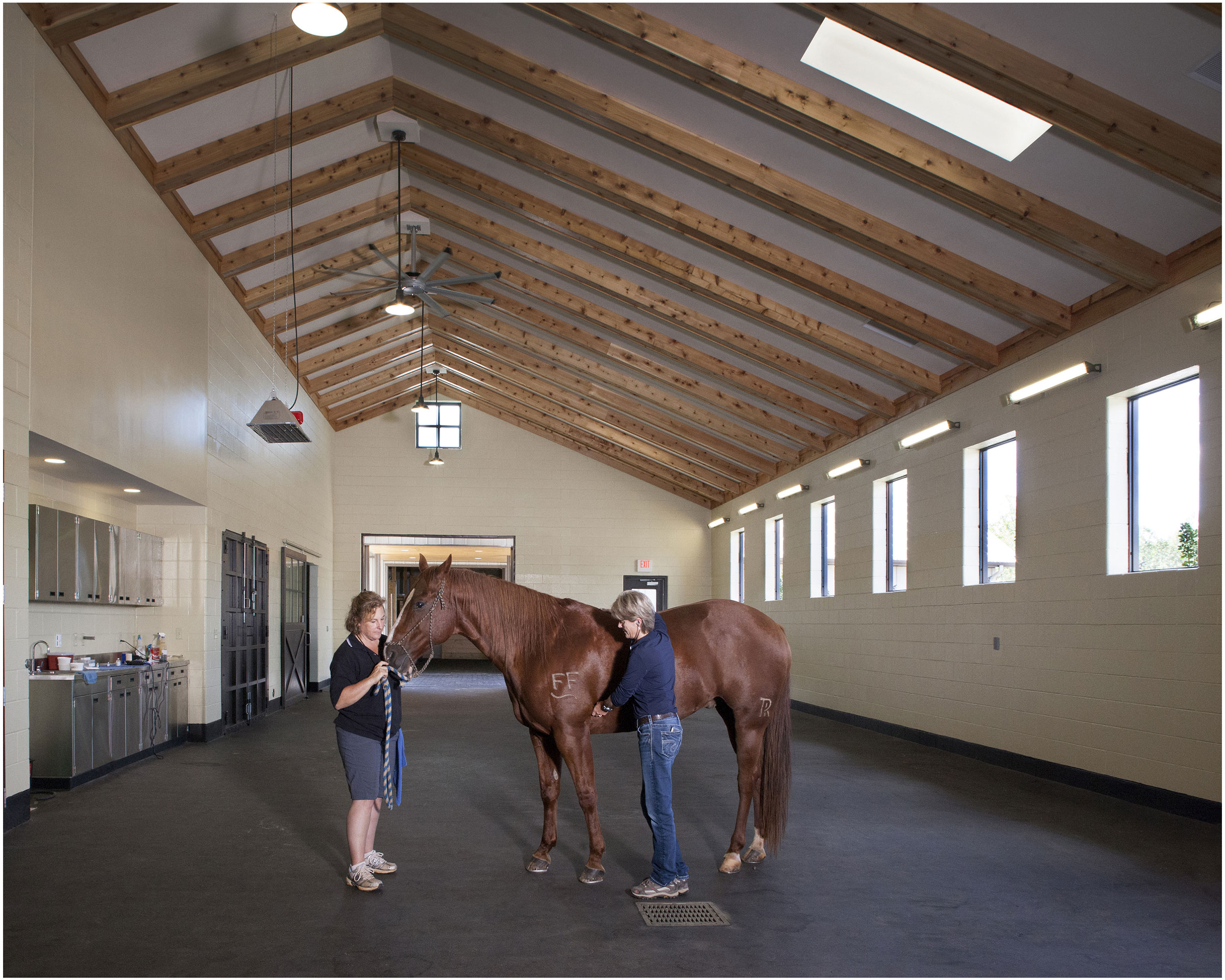 Equine Clinic Construction Materials from Floor to Ceiling - EquiManagement