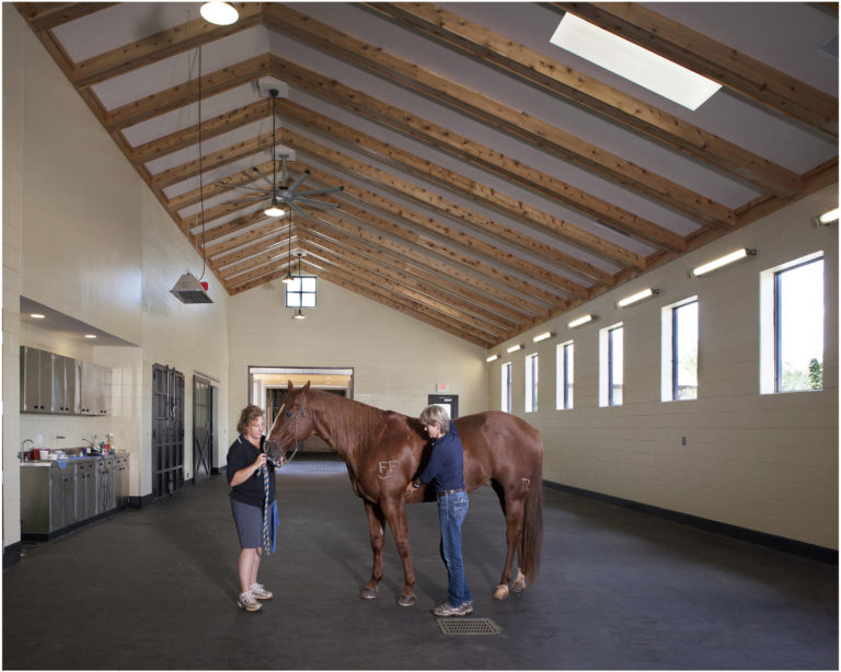 Tryon Equine Hospital lighting
