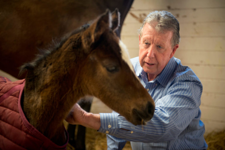 UC Davis School of Veterinary Medicine Ranks No
