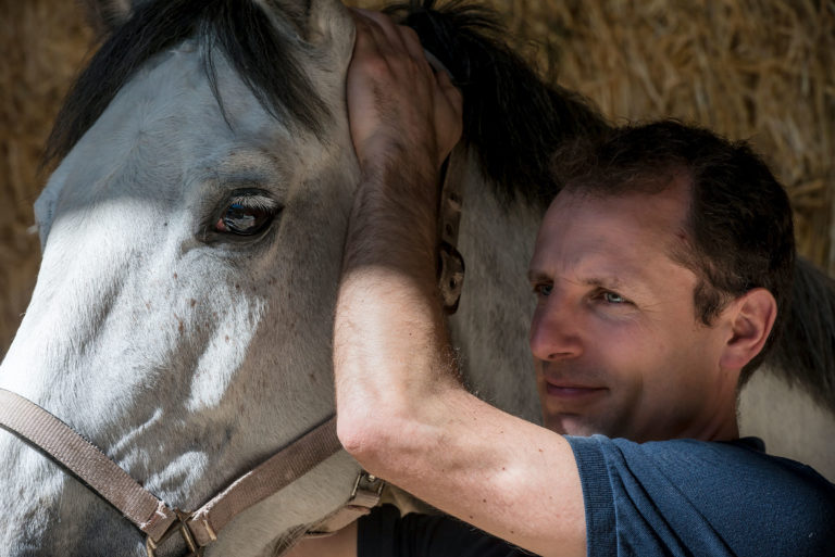 vet-male-gray-horse-touching-poll-170222044_ABFa4-2400