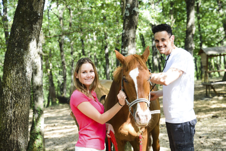 vet male horse woman owner