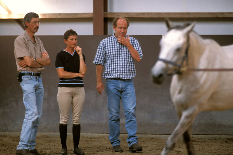 vet-owners-gray-horse-being-lunged-030814037_ABFa4-1000