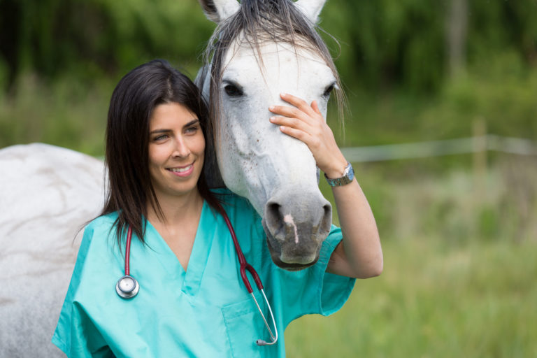 vet woman happy gray horse