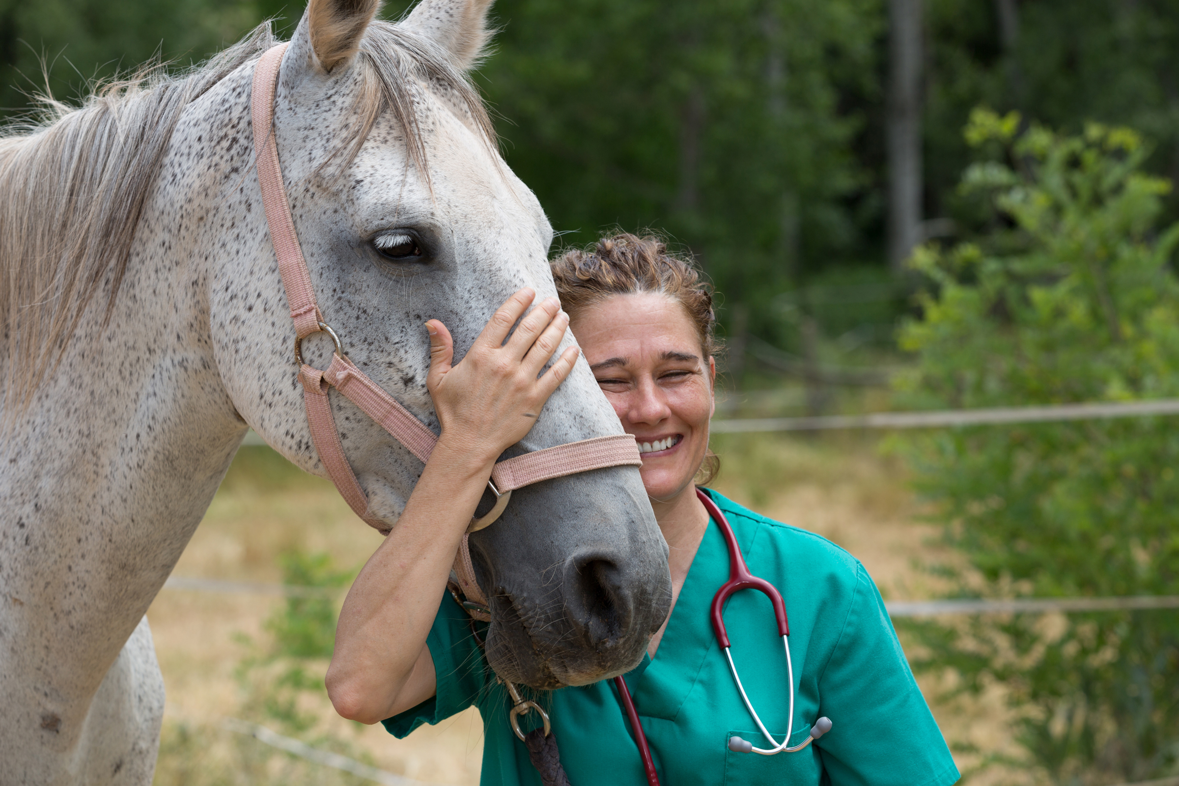 veterinary student and gray horse